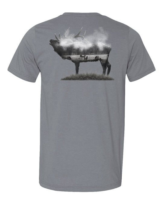 Boxley Elk