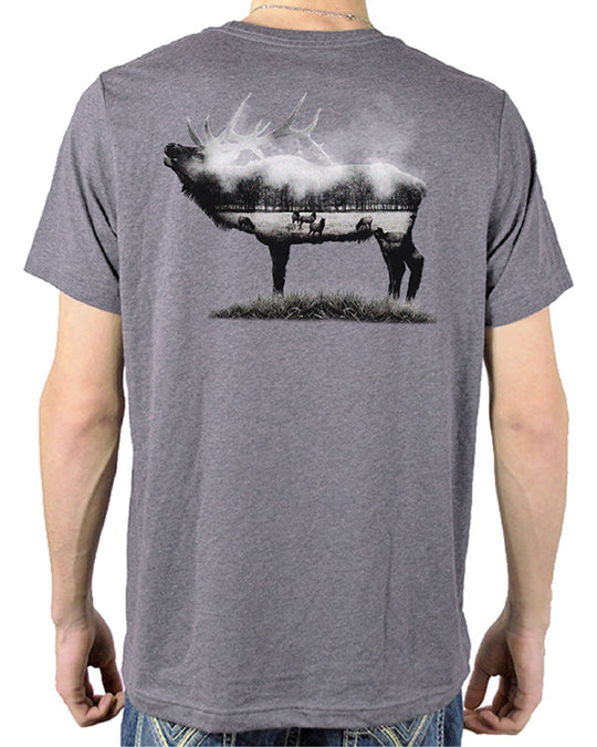 Boxley Elk