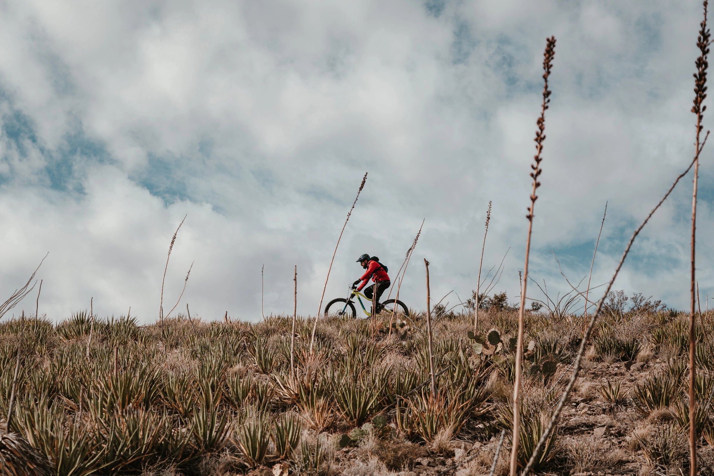 Timeless Trails