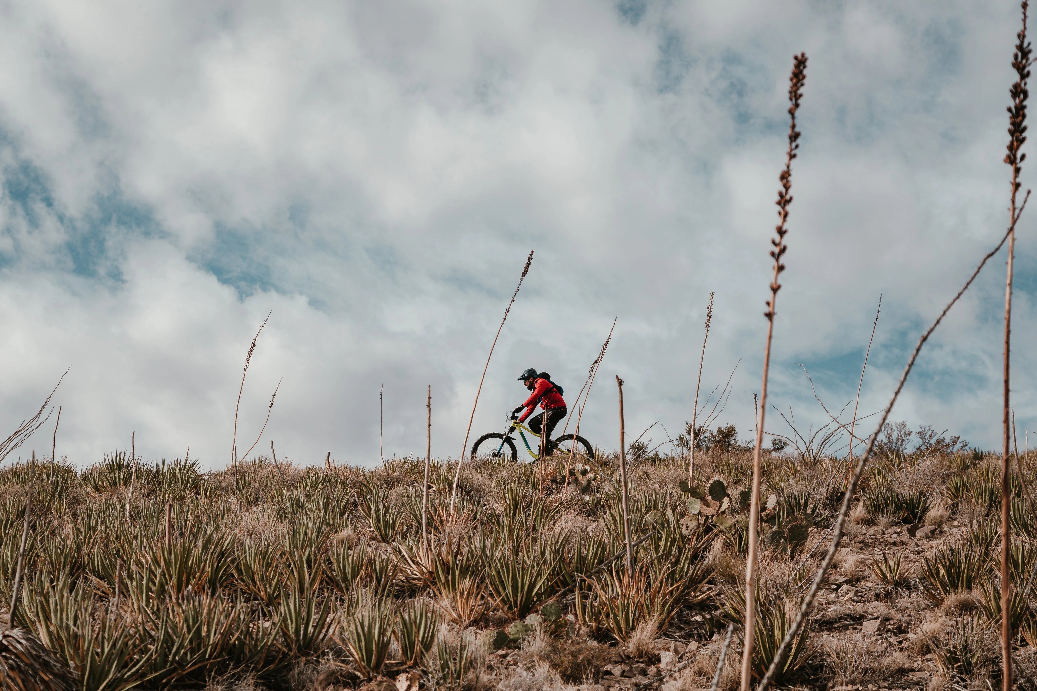 Timeless Trails