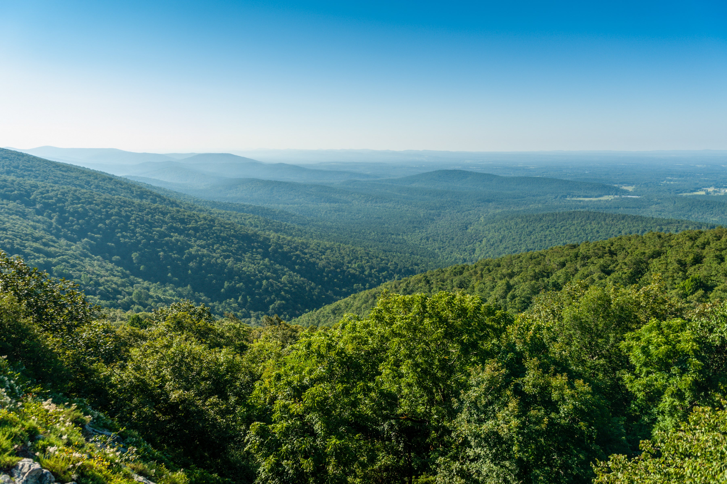 State Parks